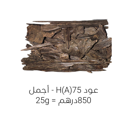 75(A)H AGARWOOD